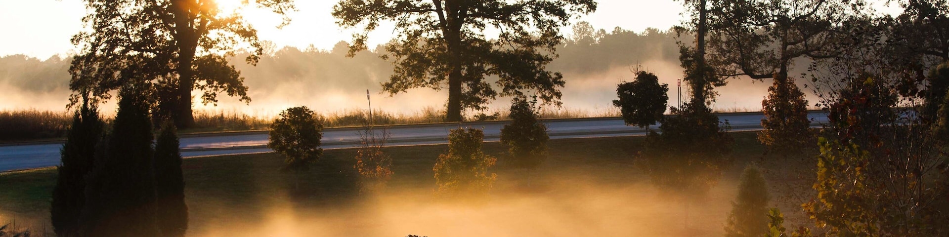A misty landscape with trees and a road during sunrise.