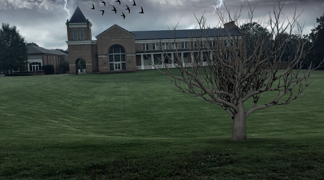 OK this photo is a little bit doctored to look a bit like Hogwarts but this is my version of Converse college
