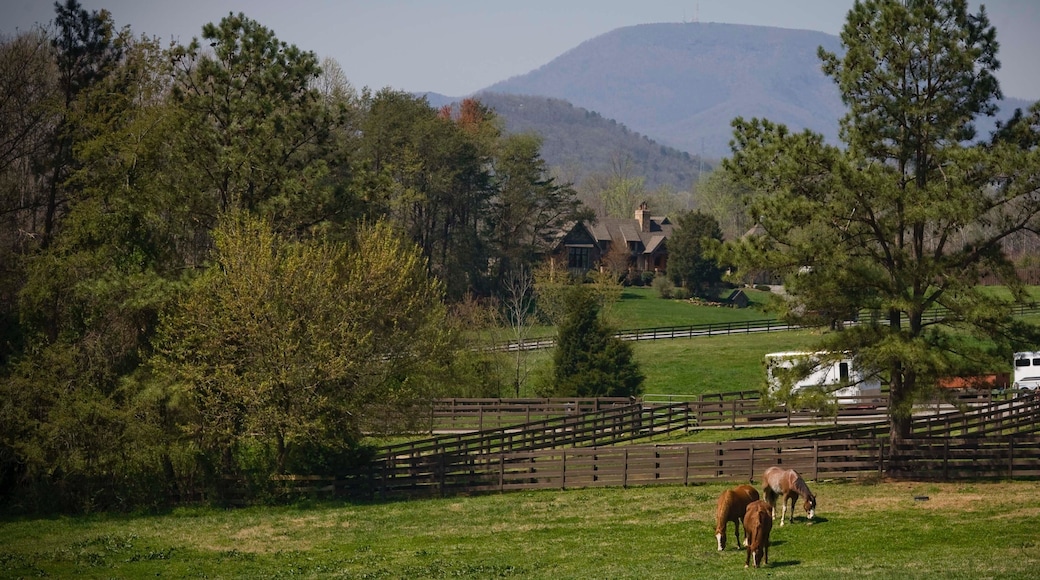 Spartanburg fasiliteter samt hus, åkre og landdyr