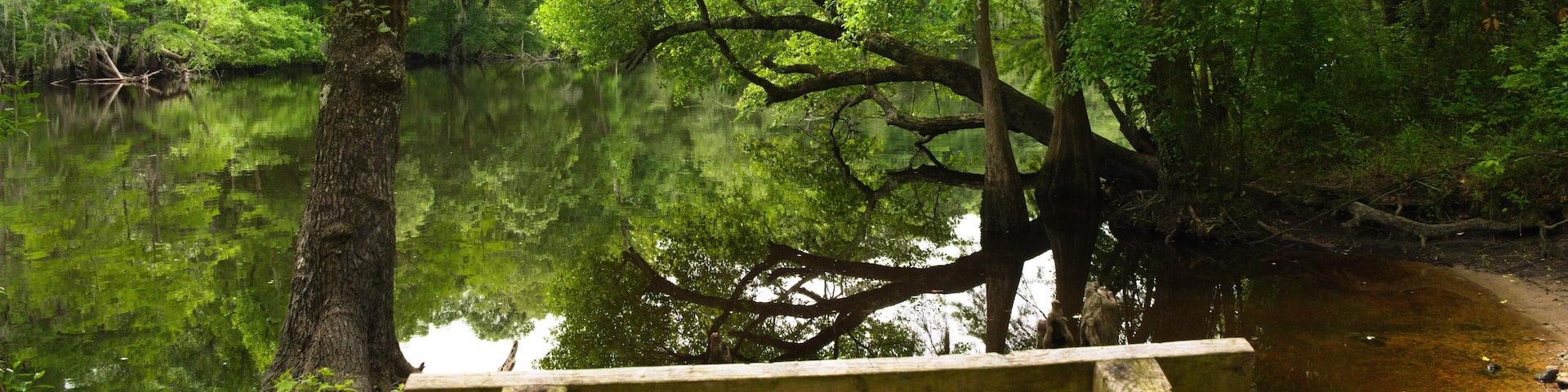 A wooden bench overlooking a calm river surrounded by dense green foliage.
