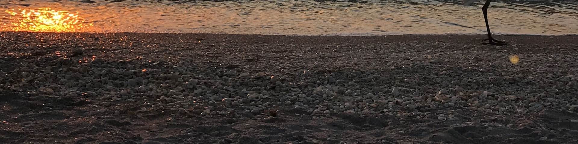 #BeachBound Photo Sweepstakes