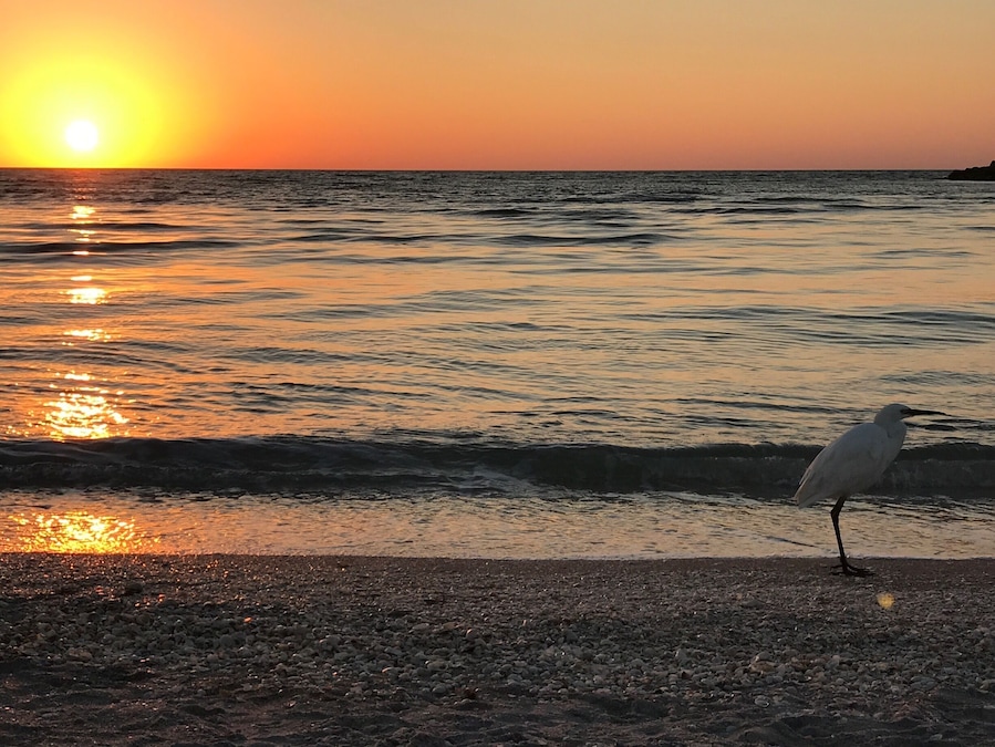 #BeachBound Photo Sweepstakes