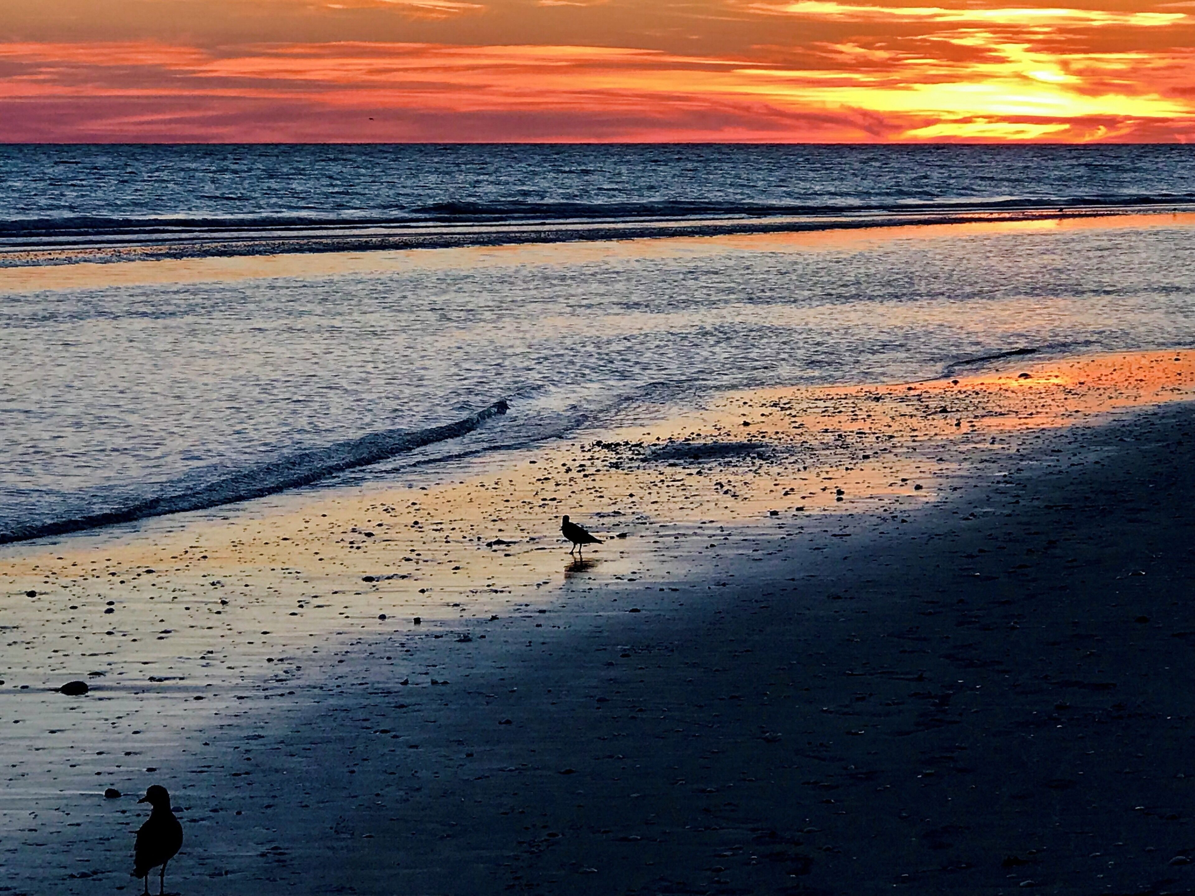 Incredible Sanibel sky this evening 🌅
#sunset #Sanibel #Florida #islandlife