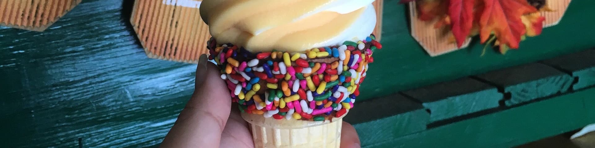 Favorite ice cream place!!