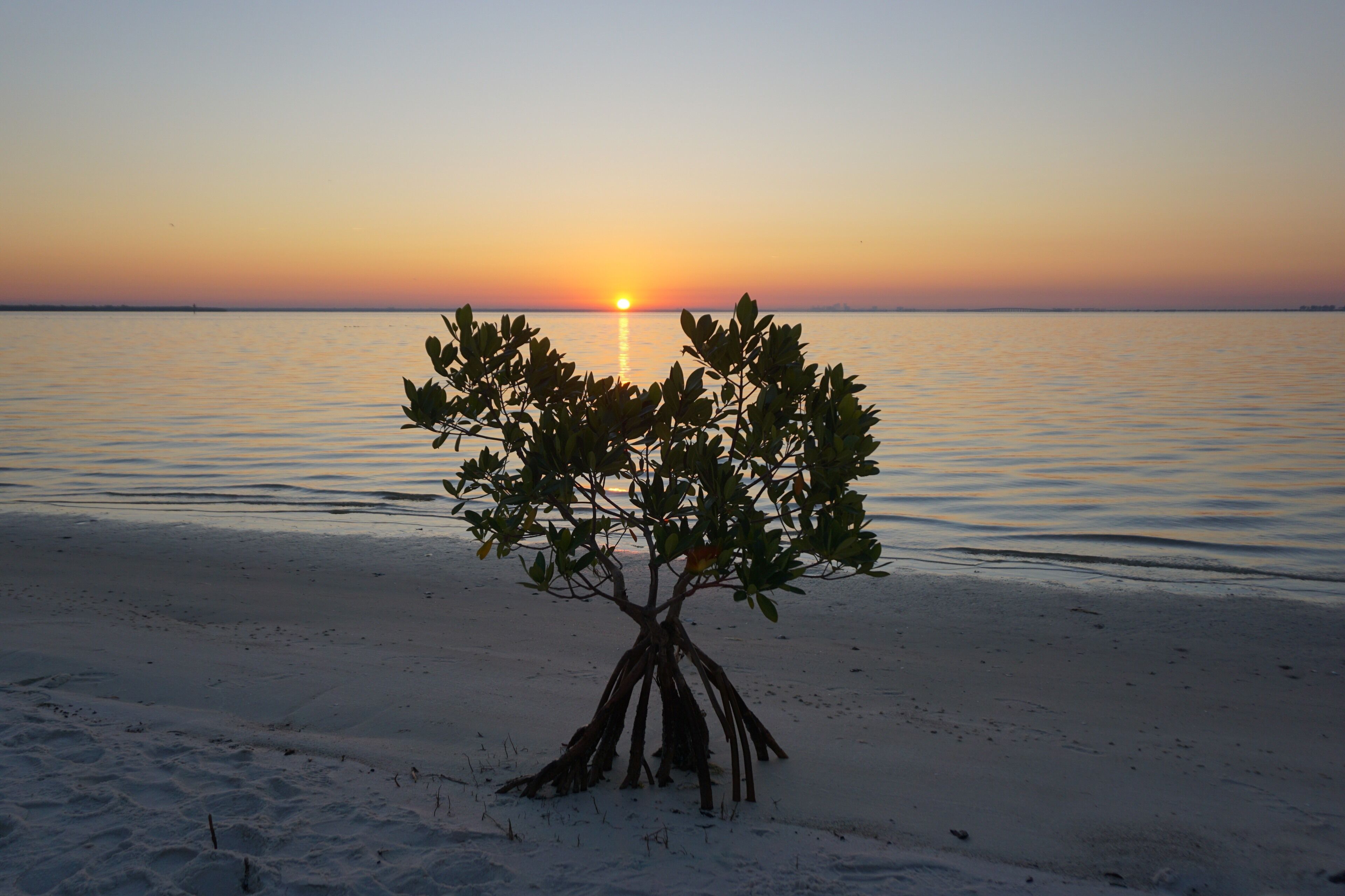 sunrise on a Sunday