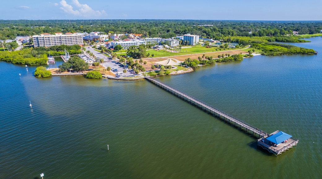 Safety Harbor