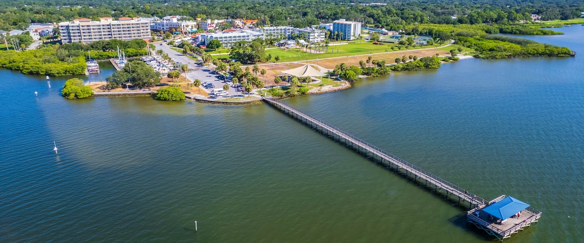 A river with a long bridge connecting two land masses, surrounded by greenery and buildings.