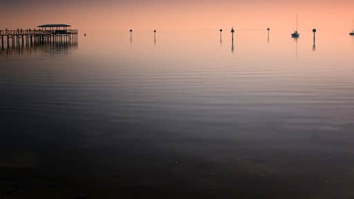 セイフティ ハーバー