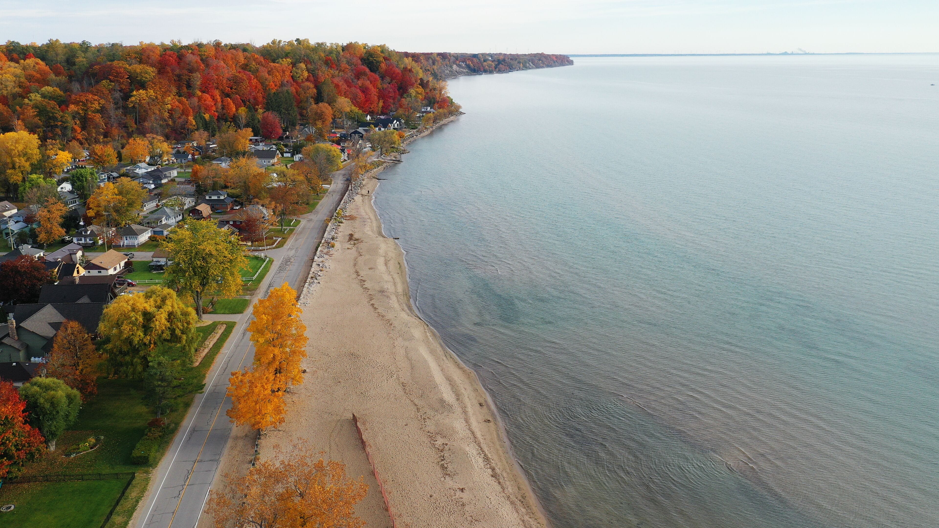 A coastal town with autumn-colored trees, a sandy beach, and a calm sea.