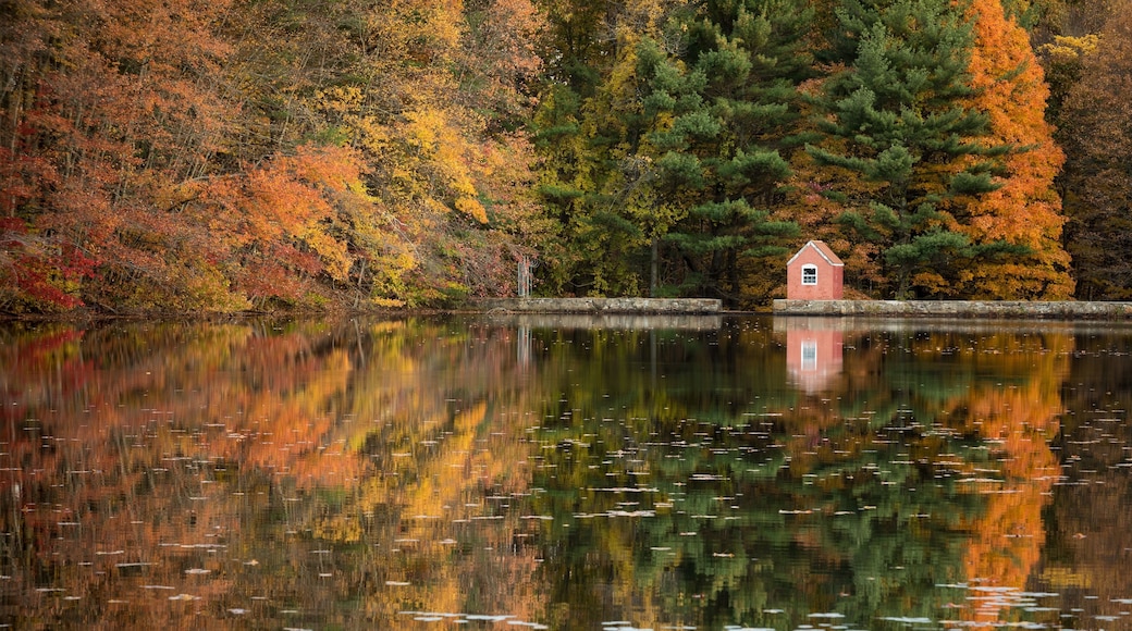 A little gem I found over the weekend still holding some fall colors. Hope Lake in Shelton Connecticut USA not far from my home town. Big rain came today so I wanted to get out before the weather turned and ruined the foliage that was left.