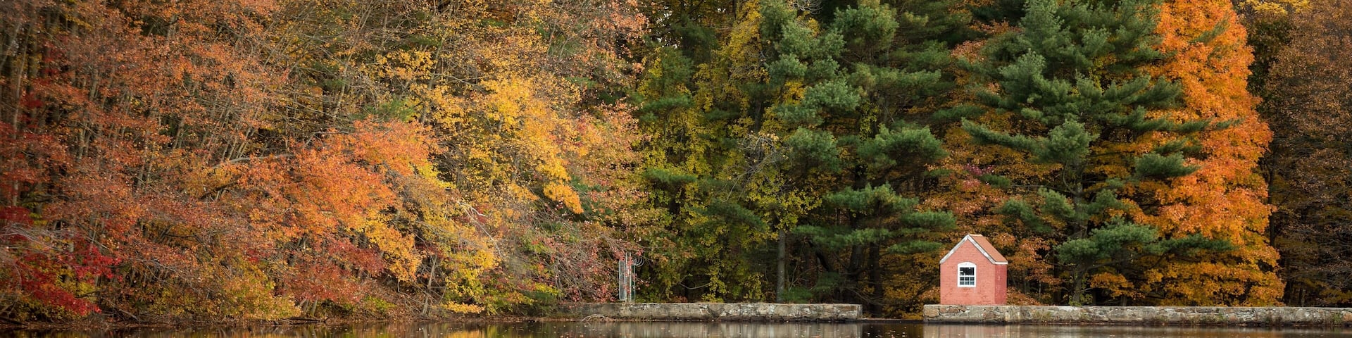 A little gem I found over the weekend still holding some fall colors. Hope Lake in Shelton Connecticut USA not far from my home town. Big rain came today so I wanted to get out before the weather turned and ruined the foliage that was left.