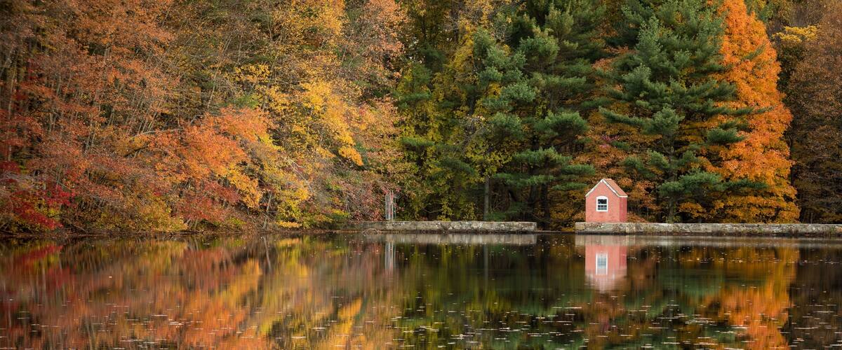 A little gem I found over the weekend still holding some fall colors. Hope Lake in Shelton Connecticut USA not far from my home town. Big rain came today so I wanted to get out before the weather turned and ruined the foliage that was left.