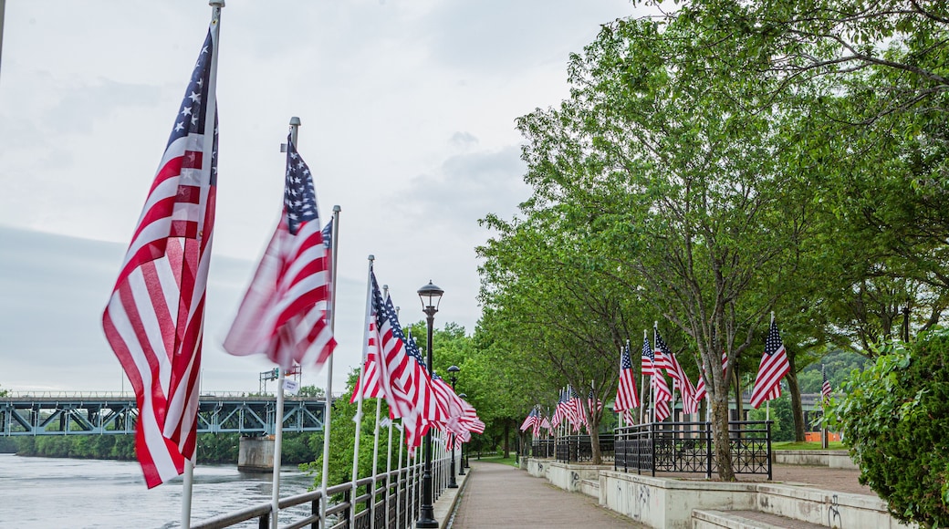 Flags lining River Walk in Shelton, Connecticut