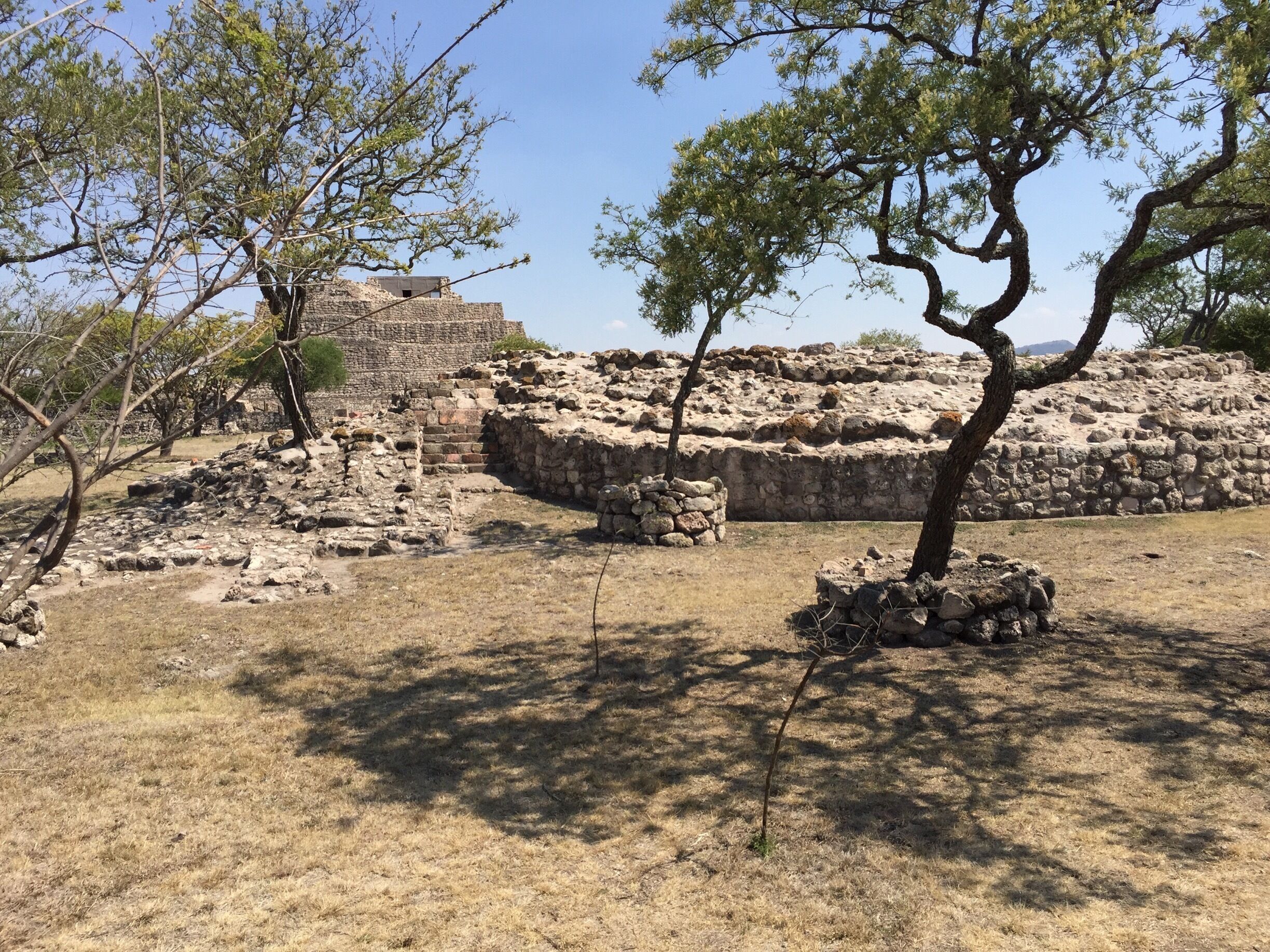 Amazing tour with Archeologist - Guide, Albert Coffee.
