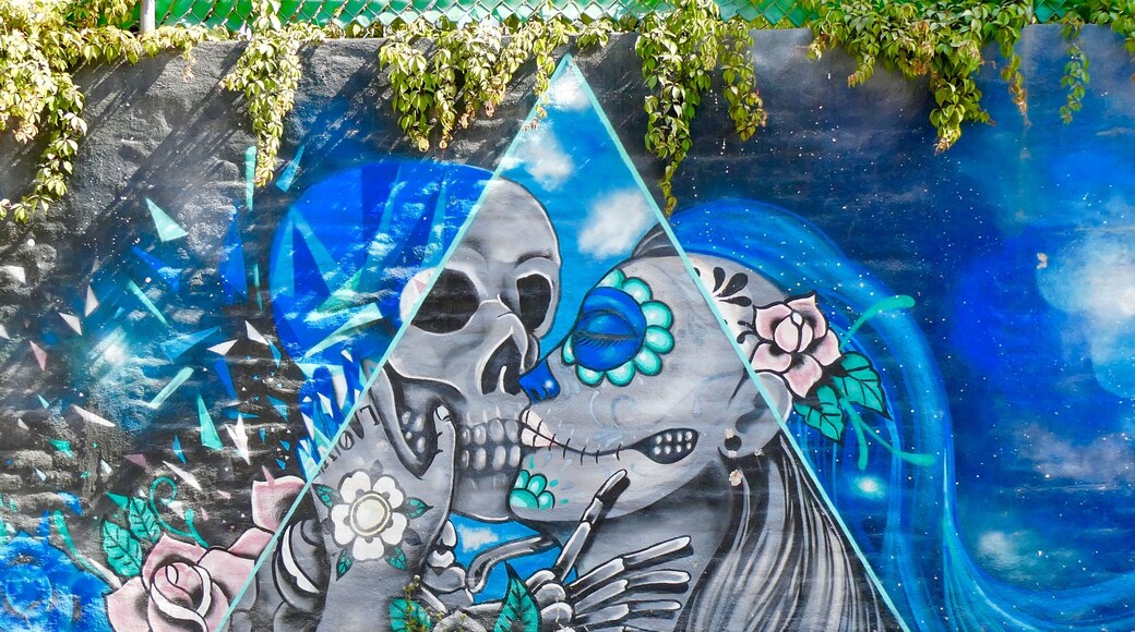 The colors and art in San Miguel are just wonderful. I understand why this is such a popular location.