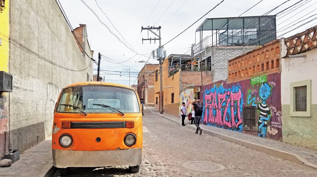 The Guadalupe neighborhood of San Miguel is an amazing place to view some street art. You can read more about the project at murosenblanco.com