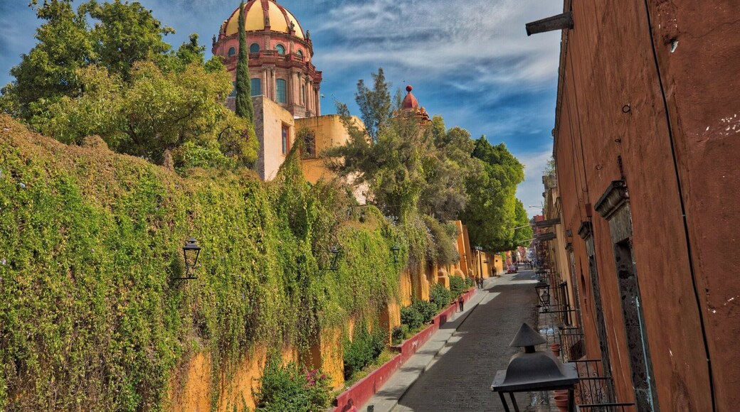 Another beautiful Catholic church in San Miquel de Allende we came across on our walk. Lovely.