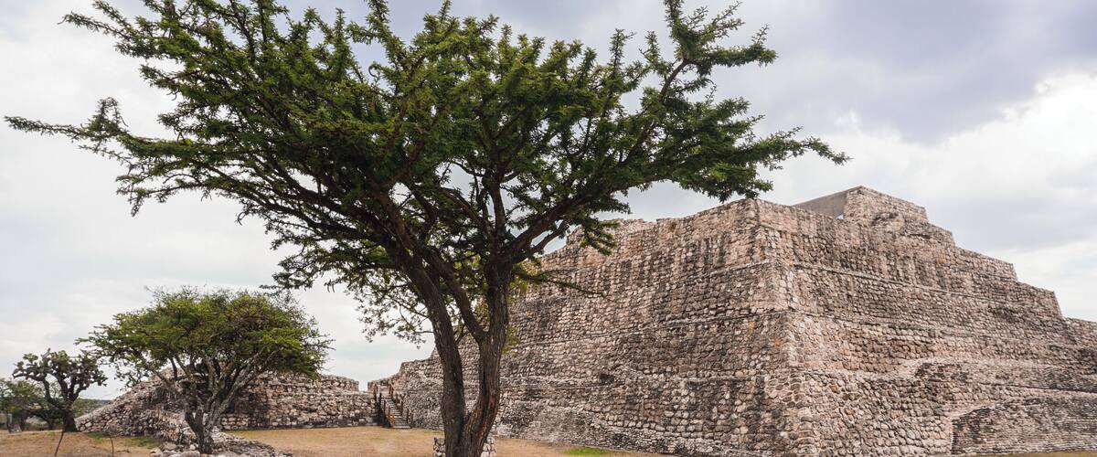A stone pyramid with a tree in the foreground.