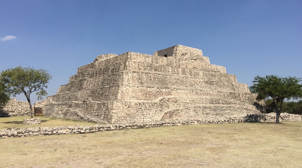 Amazing tour with Albert Coffee - Archaeologist and Guide. Highly recommended.