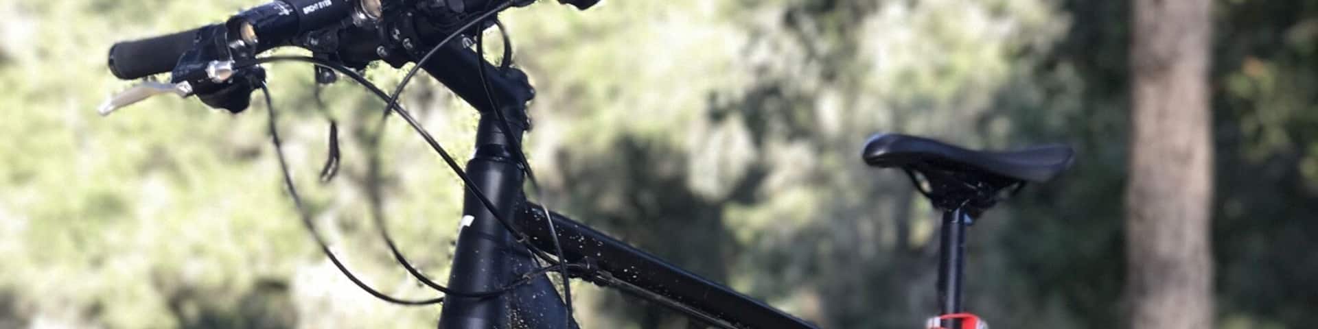 This park is a great place to visit! Lots of beautiful trails to walk or ride, play grounds, tennis and even a skate park. Highly recommend some time here to escape the crowds of the main streets. Be aware...closed promptly at sunset or 5pm.