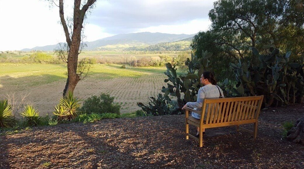 Such a beautiful view...