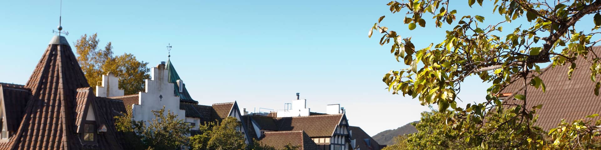 BWNFAD Bicyclists take an early morning ride, Solvang, California