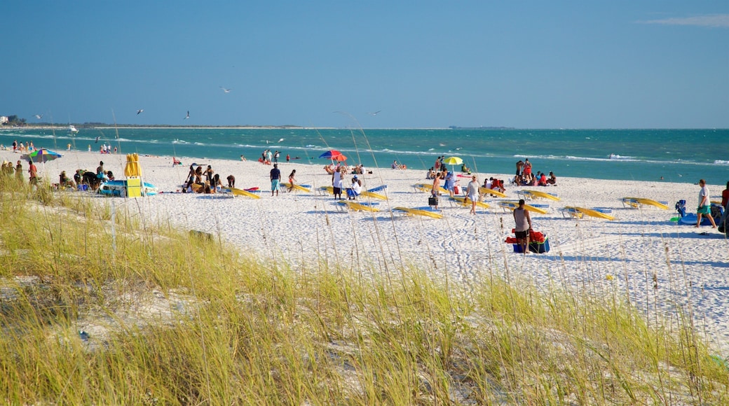 St. Pete Beach showing general coastal views and a beach as well as a small group of people