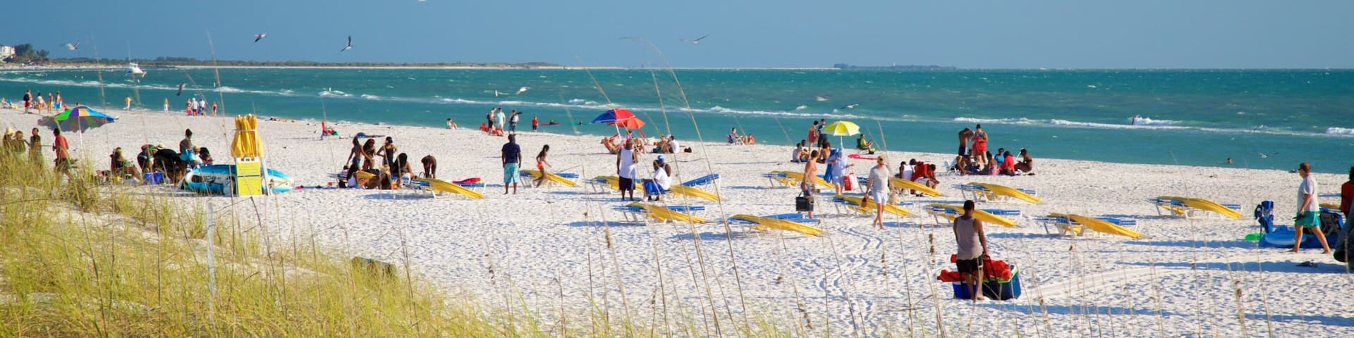 St. Pete Beach showing general coastal views and a beach as well as a small group of people