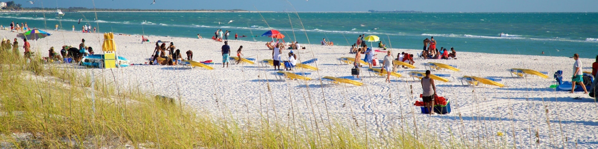St. Pete Beach showing general coastal views and a beach as well as a small group of people