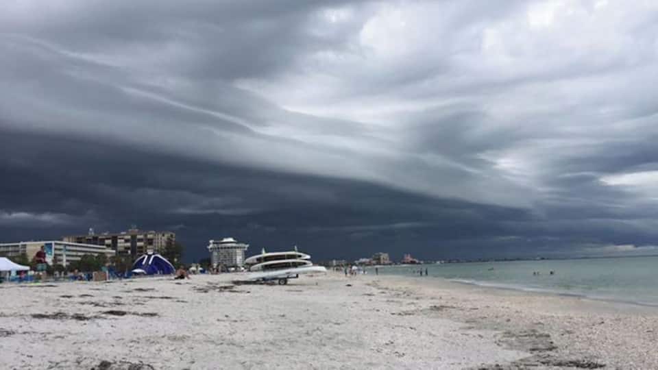 #LifeAtExpedia
St Pete beach is as close to paradise as I have found. My family and I enjoy the CLEAN soft sandy beaches. We can be found making sand castles and burying each other in the sand. We also enjoy combing for treasures. Be it catching a glimpse of a dolphin or manatee, adding to our shell collection. When there hasn't been a storm the water is so clear you can even see the fish swimming around your feet. Be sure and due the "stingray shuffle" though as ocean is there home and they are very common here. Also don't forget to apply sunscreen hourly while having fun!