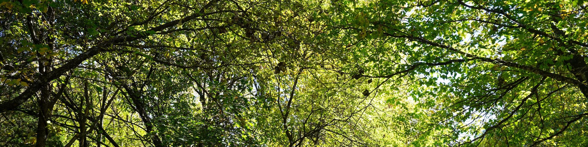 View of a pathway at Oak Point Park and Nature Preserve in Plano, Texas