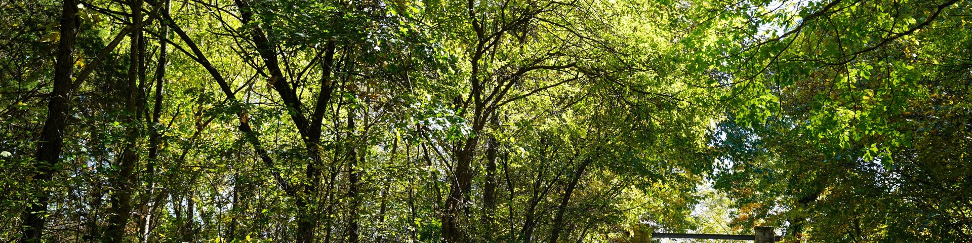 View of a pathway at Oak Point Park and Nature Preserve in Plano, Texas