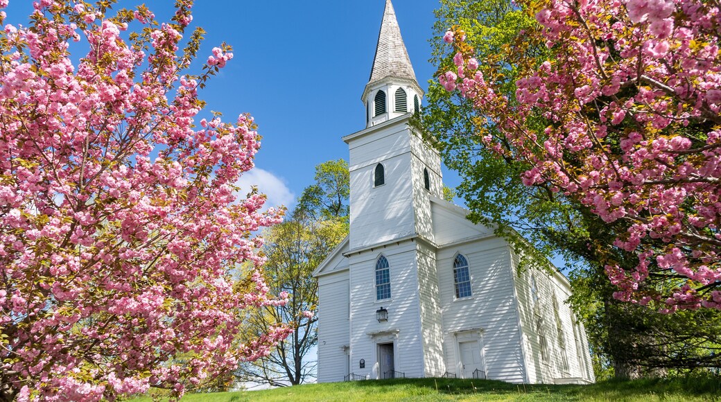 Warwick, NY-USA-May 1, 2021:: Landscape view of the historic Old School Baptist Meeting house flanked by flowering trees located in center of the village of Warwick.