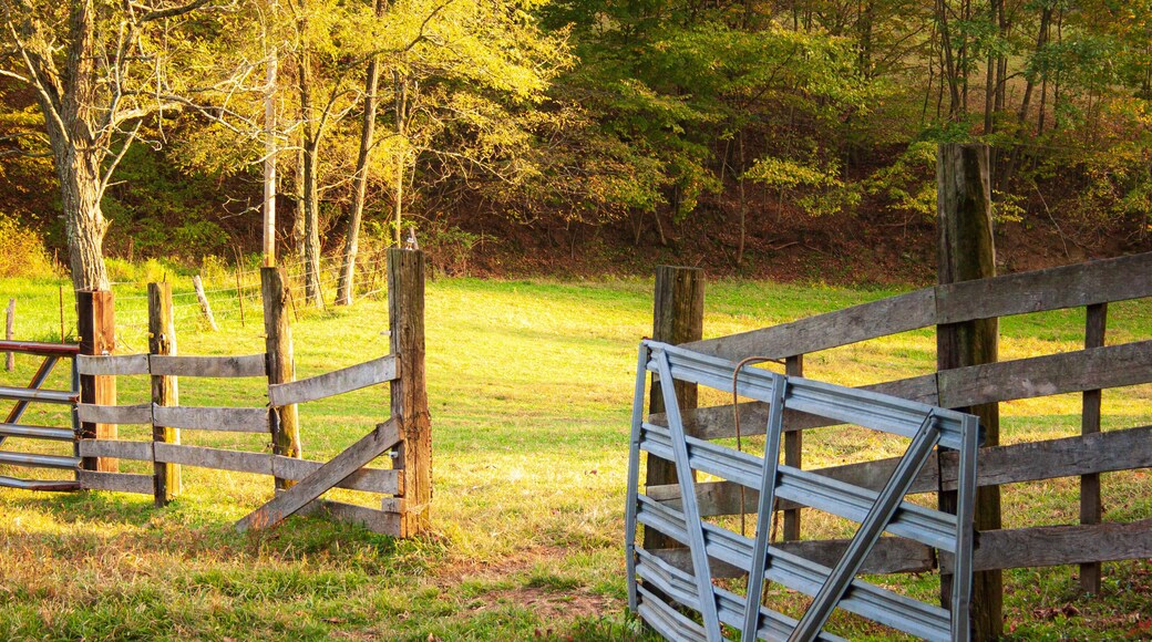 Open wooden and metal gate at entrance to grass field in rural setting