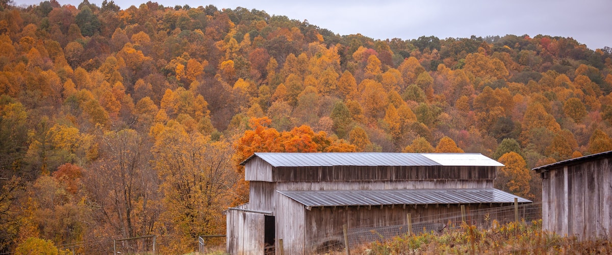 A wooden barn with a metal roof, surrounded by a field with tall grasses and a forested hillside in autumn colors.