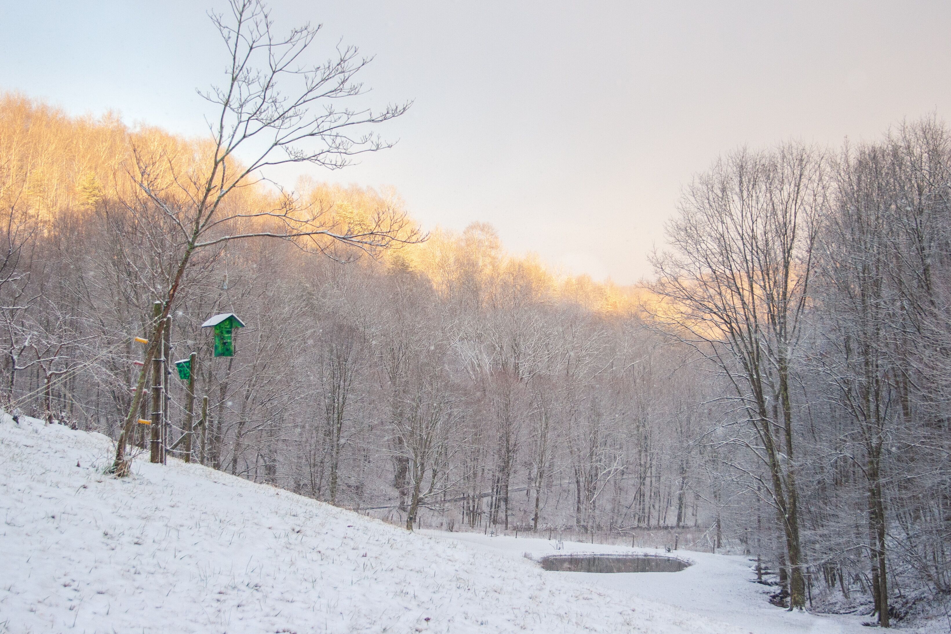 Falling snow winter scene with bird feeders and pond on slope near the forest