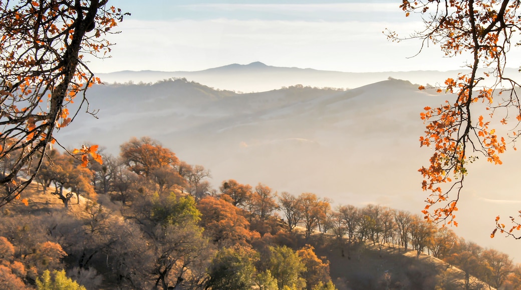 Northern California Fall of Misty Mountains, from Joseph D. Grant County Park, San Jose, California, USA.