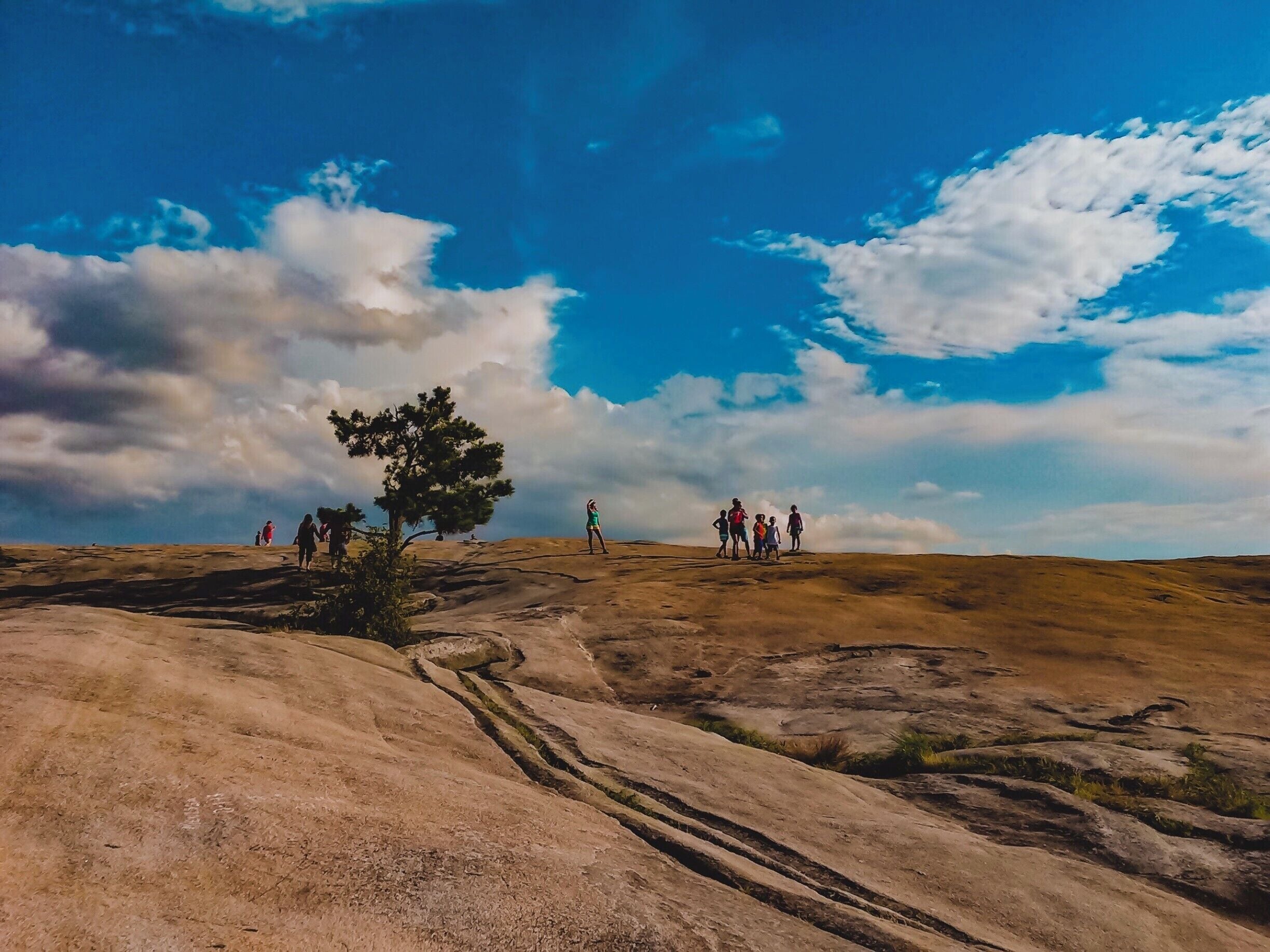 This photo was taken on the top of the mountain because that tree is growing out of the rock! The hike up Stone Mountain is not hard and there is a pavilion halfway to the top if anyone needs a break. It is a very popular hike and is usually very busy. If you want to skip the hike and get right to the top there is a skylift for about $20 per person. #BvSApplication