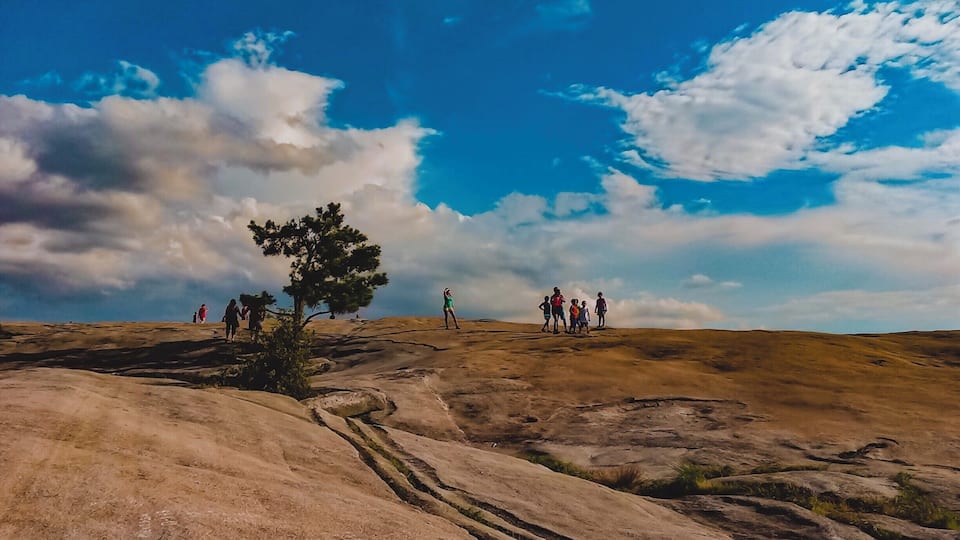 This photo was taken on the top of the mountain because that tree is growing out of the rock! The hike up Stone Mountain is not hard and there is a pavilion halfway to the top if anyone needs a break. It is a very popular hike and is usually very busy. If you want to skip the hike and get right to the top there is a skylift for about $20 per person. #BvSApplication