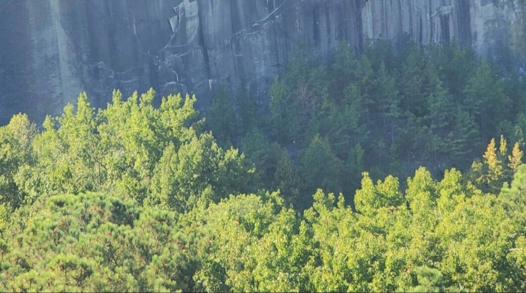 We ride the cable car to get to the top