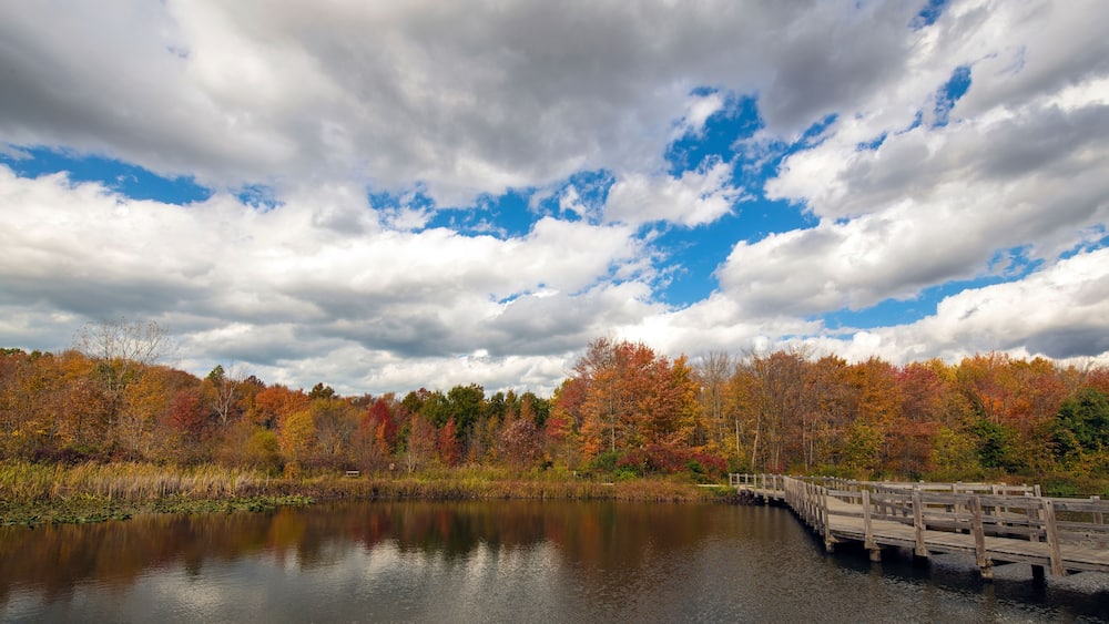 Autumn Scenes at the Lake