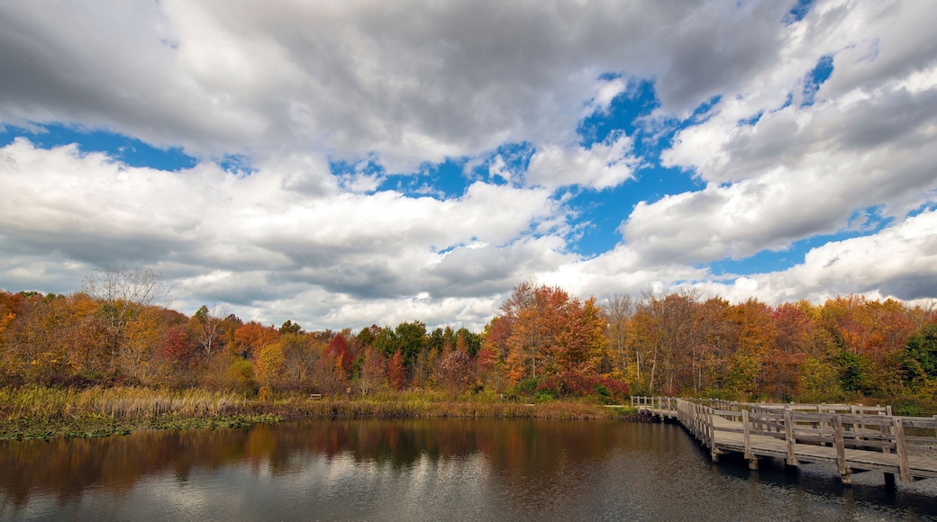 Autumn Scenes at the Lake