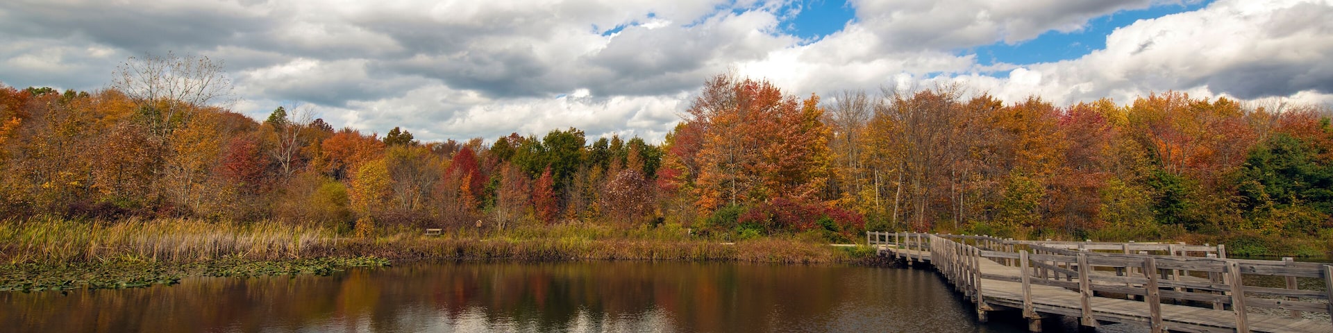 Autumn Scenes at the Lake
