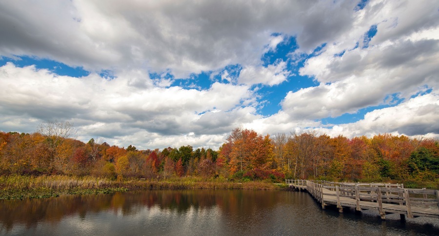 Autumn Scenes at the Lake