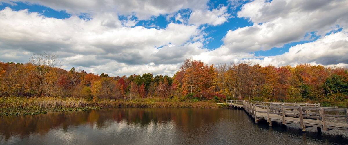 Autumn Scenes at the Lake