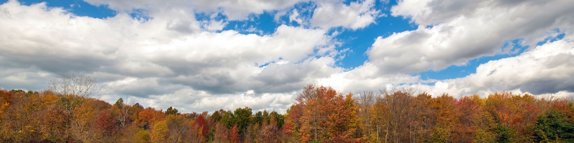 A wooden bridge over a calm lake surrounded by autumn-colored trees.