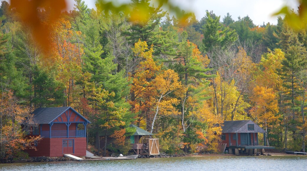 ดับลิน เนื้อเรื่องที่ สีสันฤดูใบไม้ร่วง, ทะเลสาบหรือแอ่งน้ำ และ บ้าน