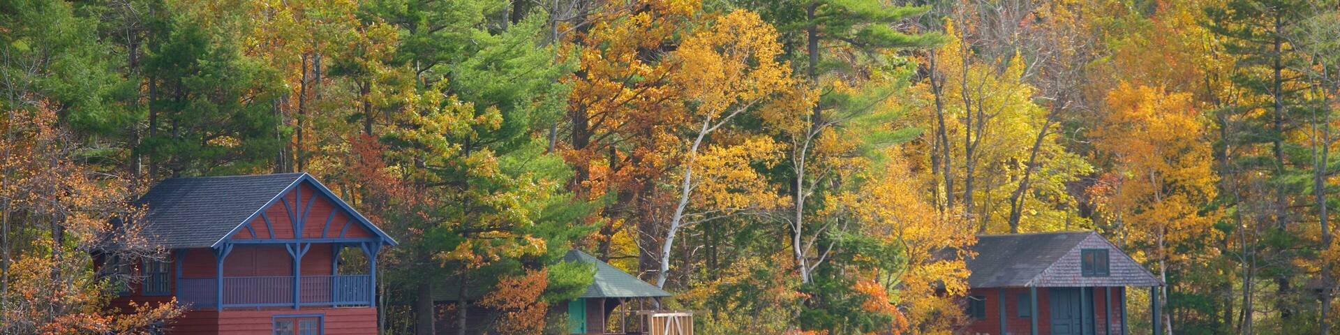 Dublin featuring a house, a lake or waterhole and autumn leaves