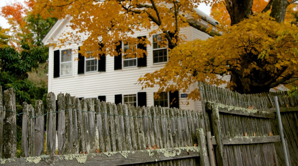 ดับลิน เนื้อเรื่องที่ สีสันฤดูใบไม้ร่วง และ บ้าน