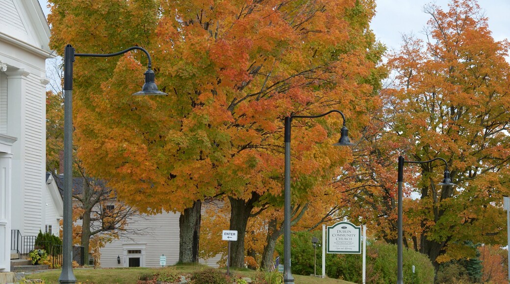 Dublin que incluye una pequeña ciudad o pueblo y los colores del otoño